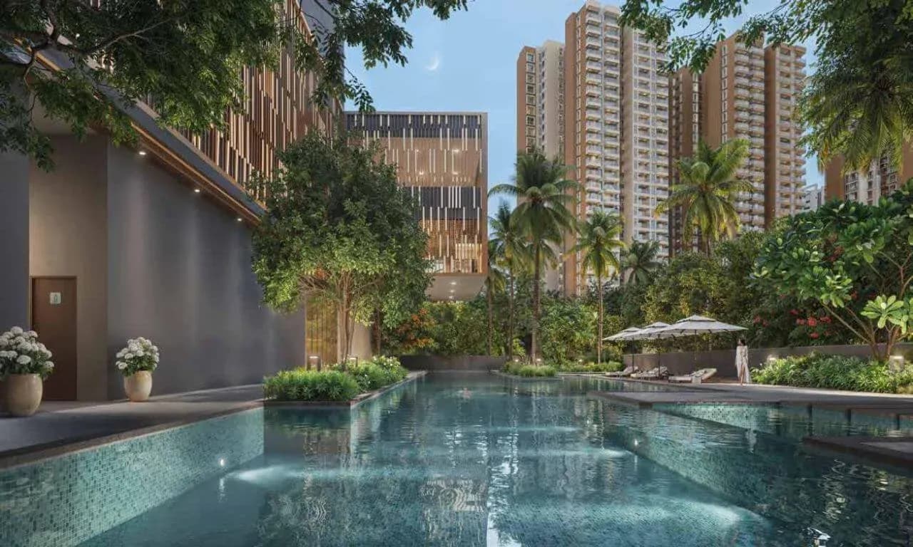 Prestige Southern Star gallery 3